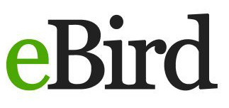 Latest SE AZ Bird News – Arizona Birding Tour Guide, Richard Fray